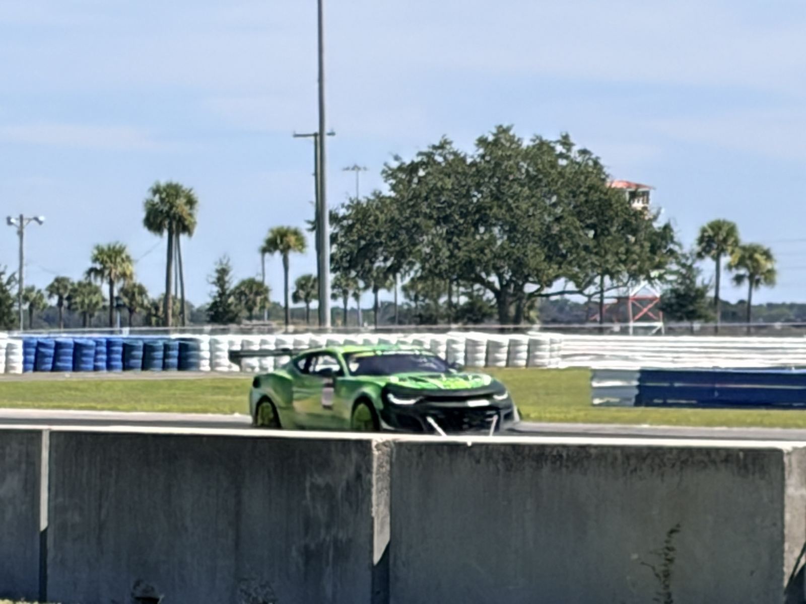 Green race car passing behind a concrete wall with palm trees and a big oak tree behind it