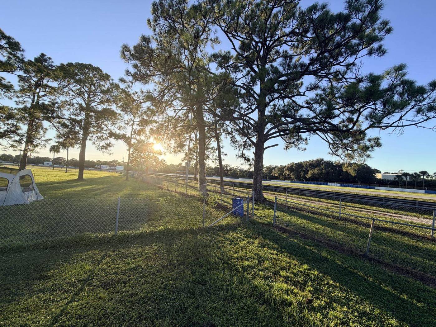 Golden sunset shining through pine trees beside the track fence at Sebring