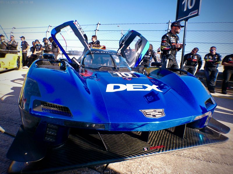 Cadillac No. 10 IMSA prototype on the Sebring grid (photo by Darien Entwistle)